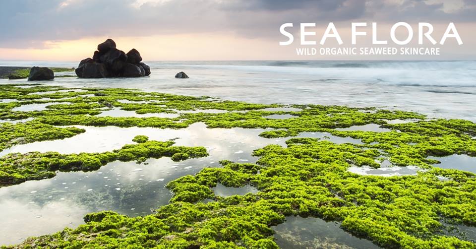 Wild Organic Seaweed Skincare