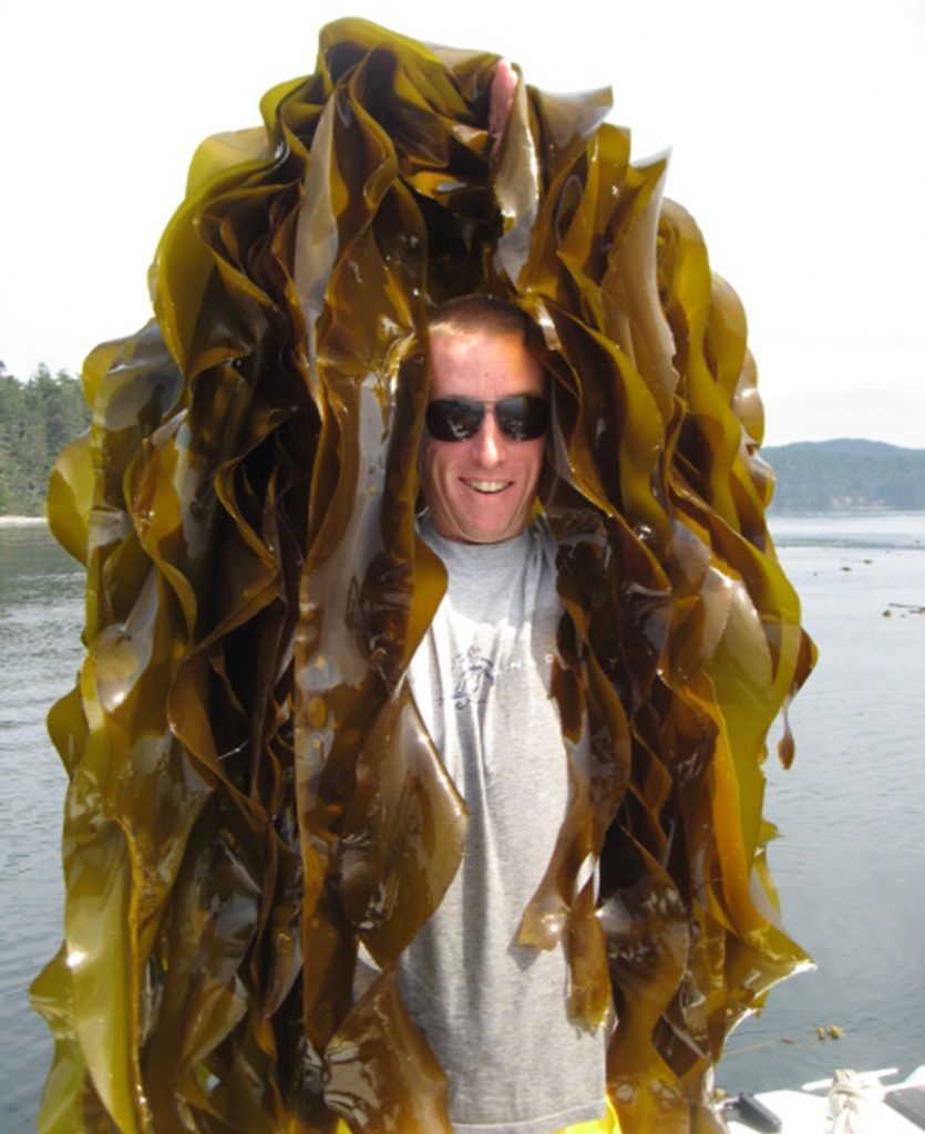 Seaflora seaweed harvest - Seaflora Skincare Adam Butcher, Owner of Seaflora Skincare in Sooke, B.C.