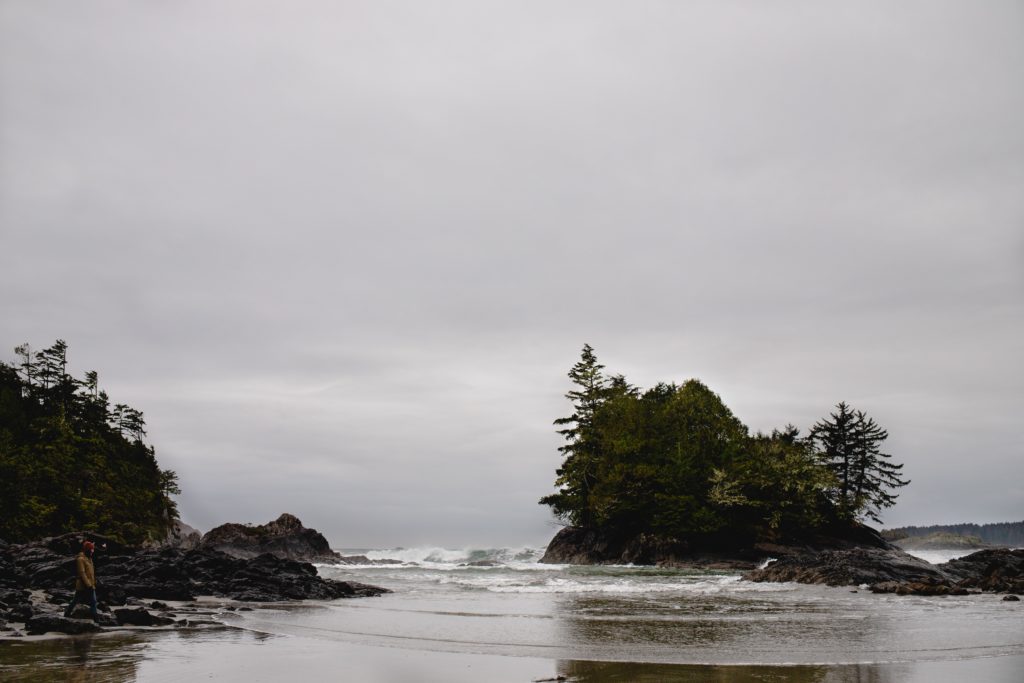 Vancouver Island Seaweed Harvesting Company - Seaflora Skincare Vancouver Island Seaweed Harvesting Companies