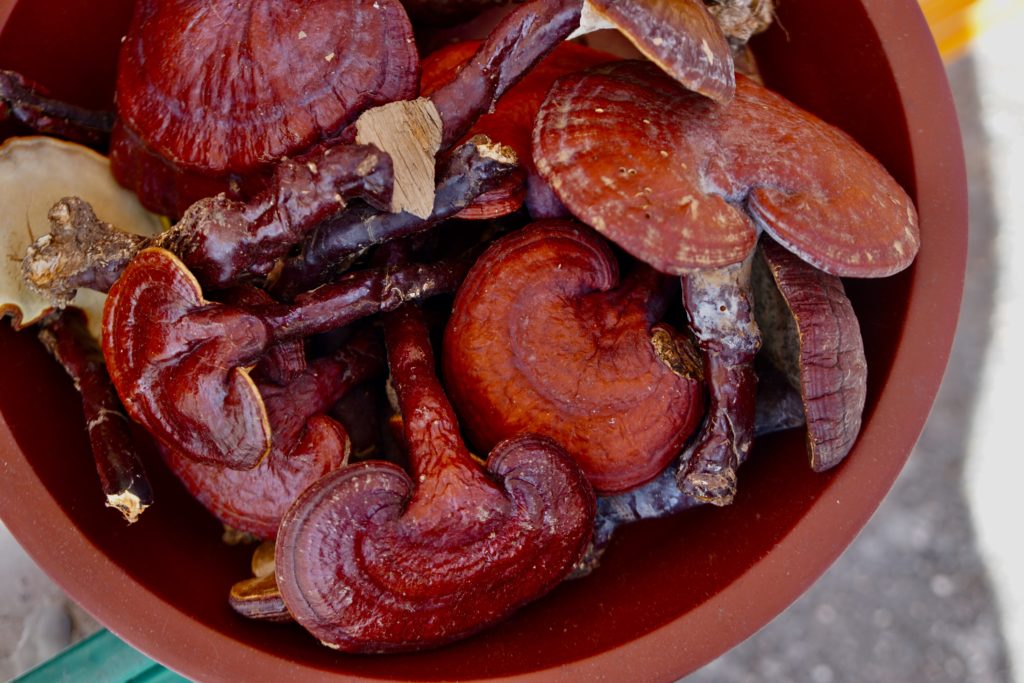 Do Adaptogens Really Work?