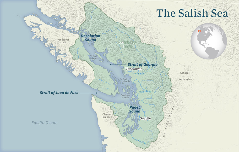 Salish-Sea - Seaflora Skincare 4 Reasons to Reset your Skin with Natural Seaweed Skincare
