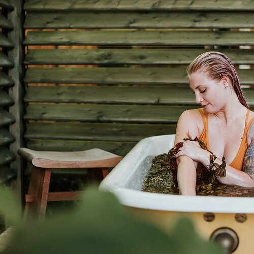 Top 5 Places to Visit for a Holistic Seaweed Experience 2021