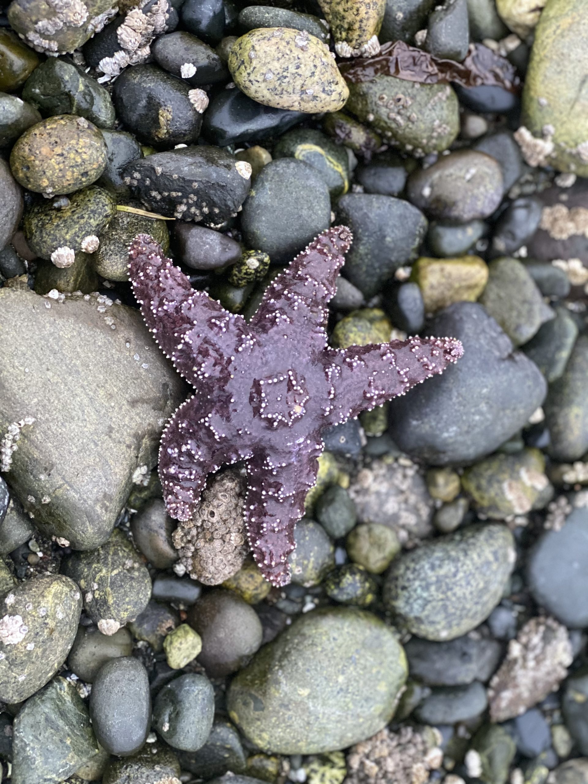 Corporate Responsibility Ocean - Seaflora Skincare Corporate Responsibility