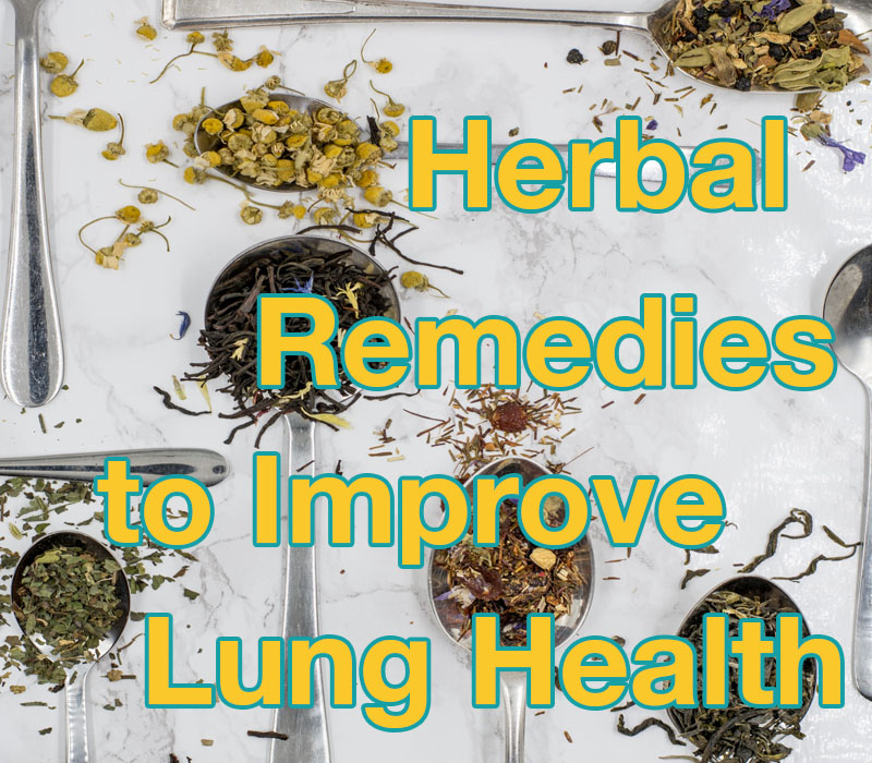 Herbal Remedies to improve lung health