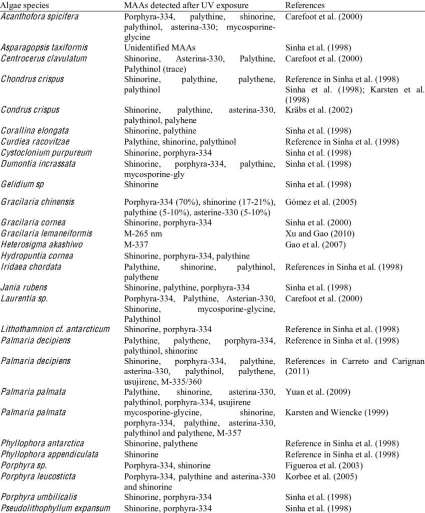 Mycosporine-like Amino Acids for Skin Photoprotection