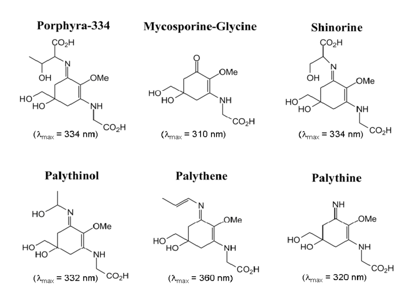 Mycosporine-like Amino Acids for Skin Photoprotection