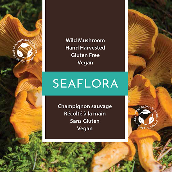 golden chanterelle mushrooms wild harvested on Vancouver Island