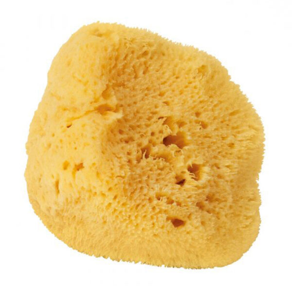 Natural Sponge