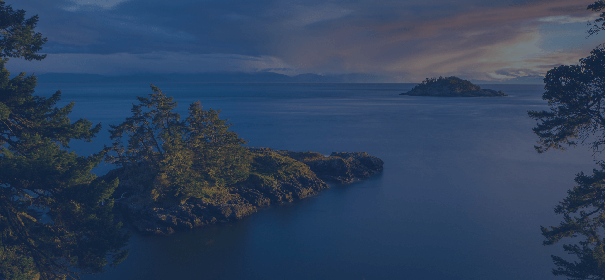 Everything You Need to Know About Vitamins, Minerals and Seaweed! - Seaflora Skincare Vancouver Island Skin Care Manufacturer, Seaflora Skicnare