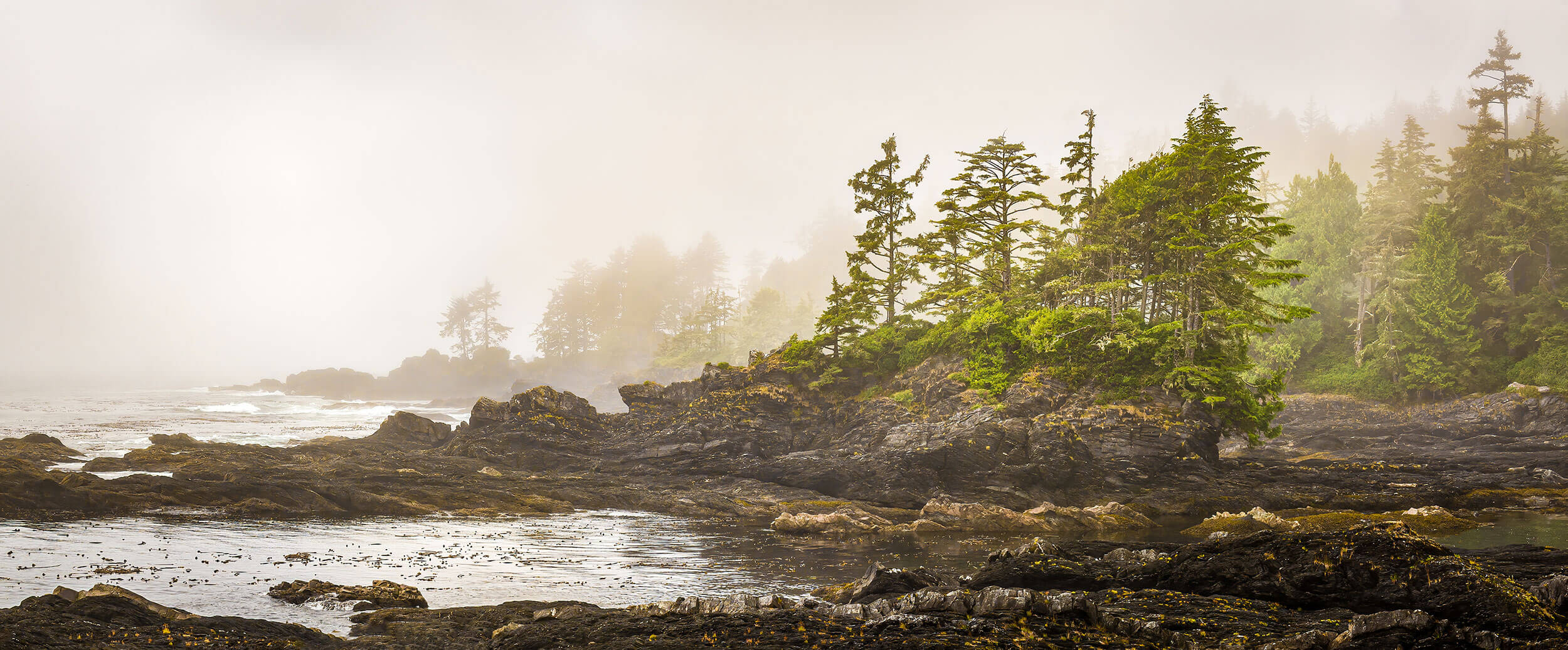 West Coast Seaweed Skincare made on Vancouver Island, B.C.