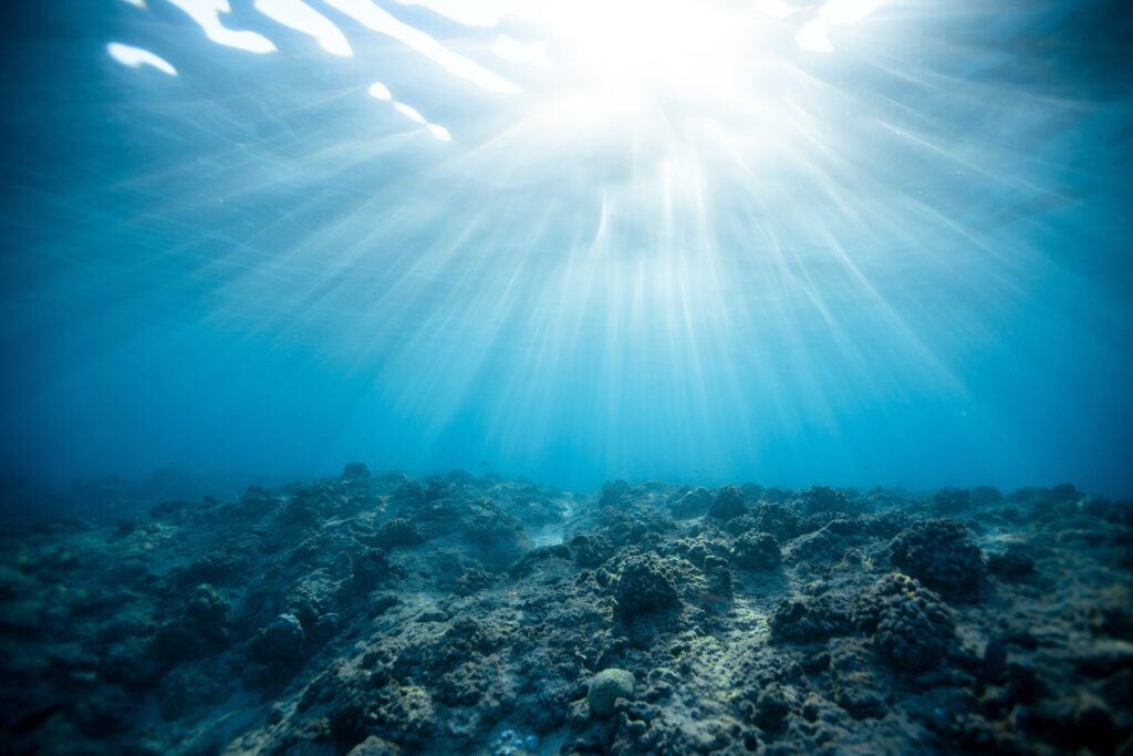 ocean salt for skin care - Seaflora Skincare ocean salt for skin care