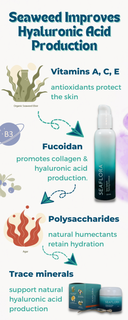 Seaweed improves collagen naturally