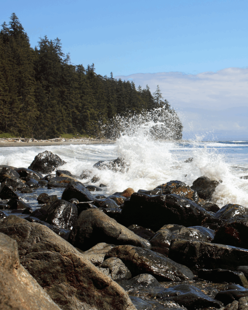 West Coast of Vancouver Island where Seaflora's 'product of canada' is made.