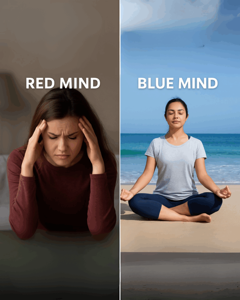 blog photos 4 - Seaflora Skincare Red Mind vs Blue Mind