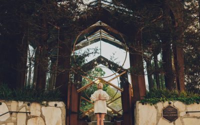 Find Zen in Nature
