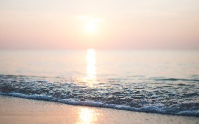 Dermascope Magazine Features Seaflora