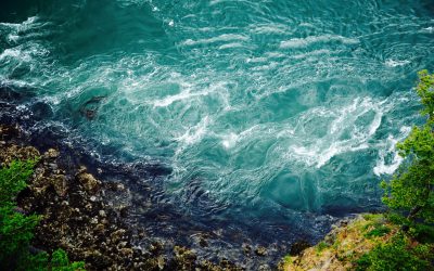 Organic Spa Magazine featuring Seaflora
