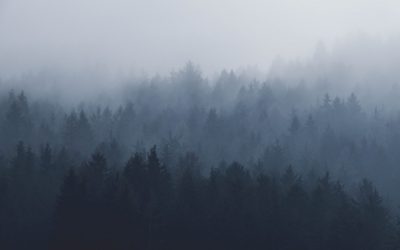 Smoky Skies Air Quality