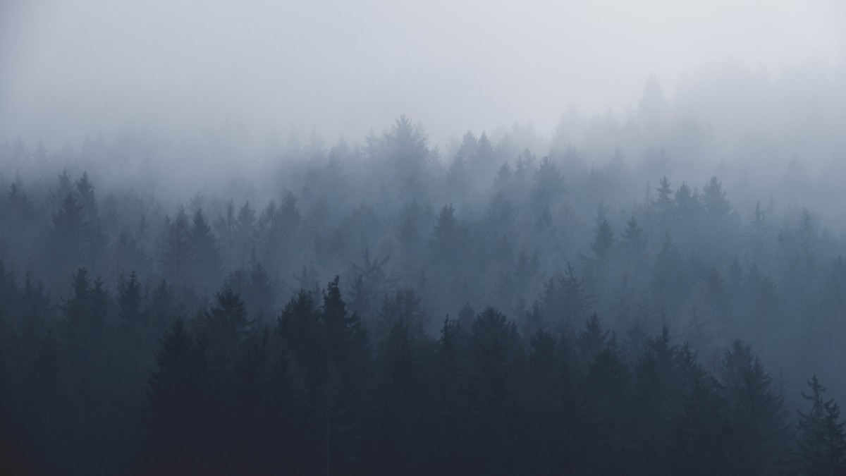 Smoky Skies Air Quality