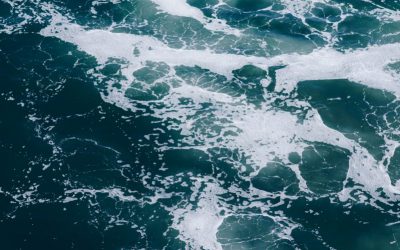 Thalassotherapy