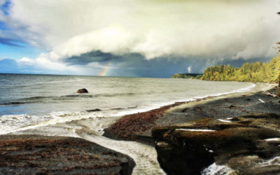 Vancouver Island's West Coast