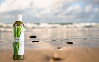 Does Seaweed Have Healing Properties?