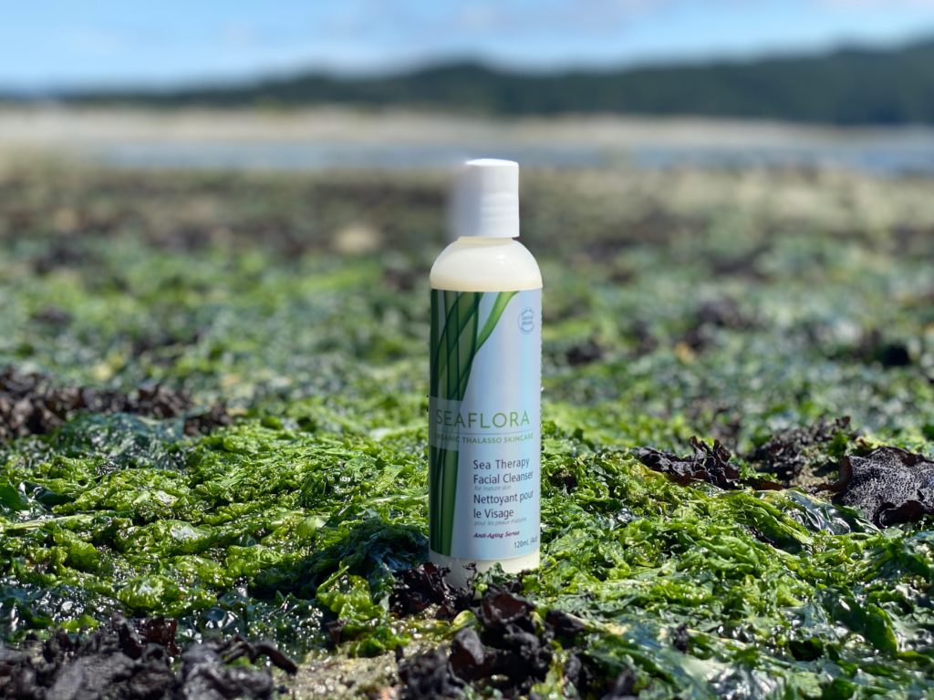 seaweed skin care products