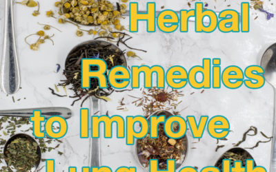 Respiratory Issues? Here Are Our Favourite Herbal Remedies to Improve Lung Health