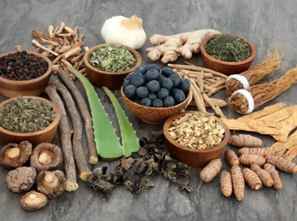 adaptogens