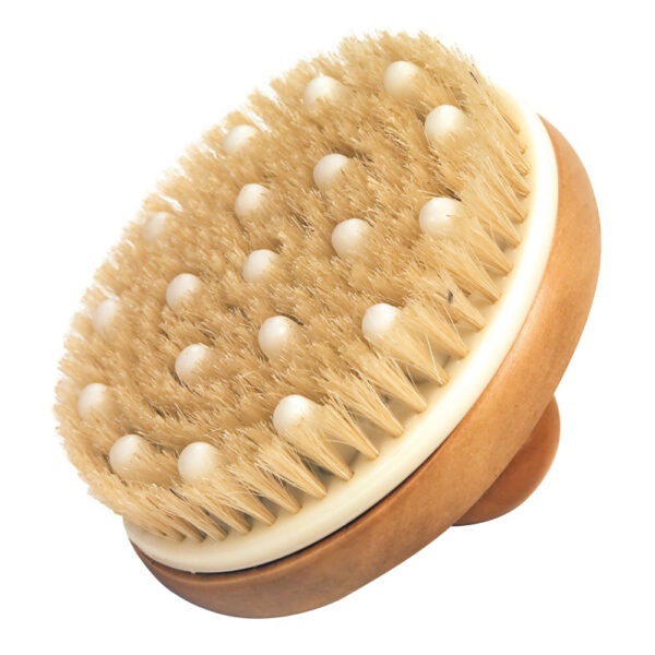 Round Dry Brush and Cellulite Buster with Beechwood Handle