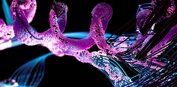 peptides in skincare