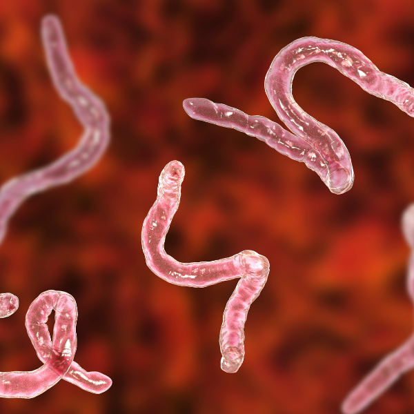microbiome health 