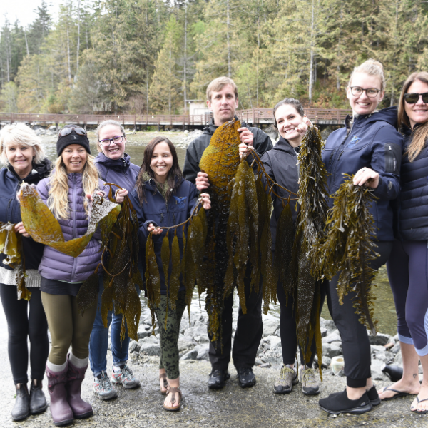 Island-Currents-Spa-Staff-Seaweed-Walk-with-Adam-Butcher - Seaflora Skincare Sonora Resort Seaweed Tour