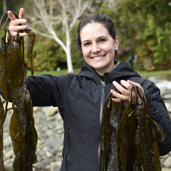 Seaweed Skincare made in Small Batches by Hand