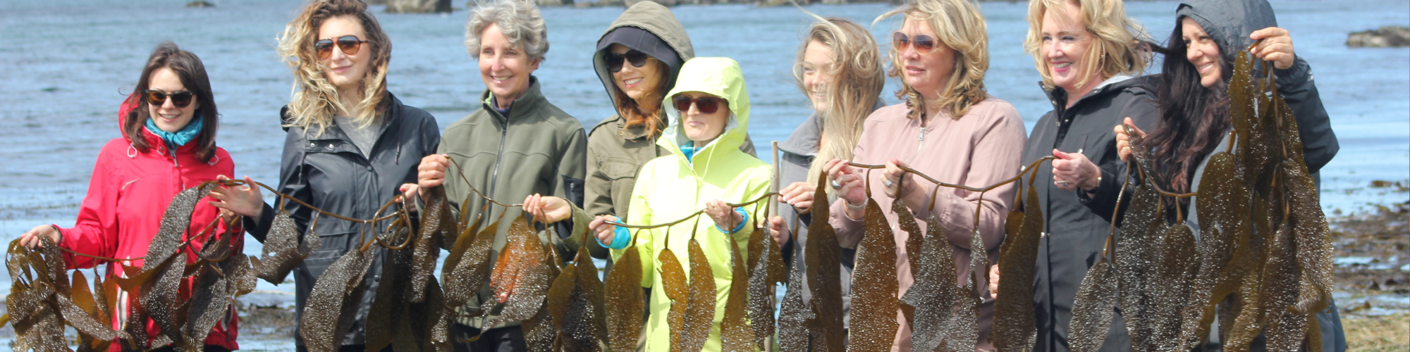 1 - Seaflora Skincare Spa Supplier in Canada, Seaflora seaweed tour