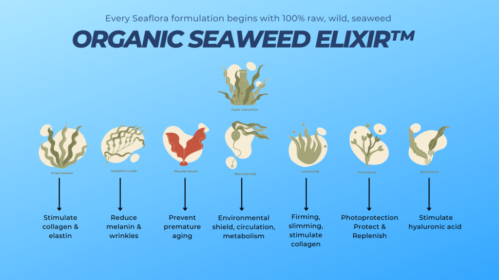 Seaflora hand harvests 9 types of Seaweed Skincare between Sooke and Port Renfrew.