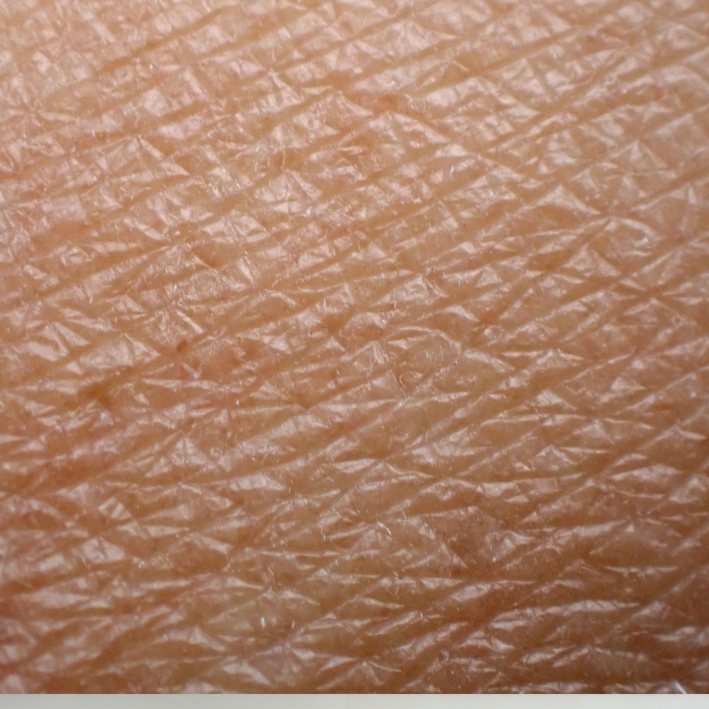 Crepe Skin