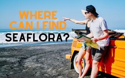 where can I find Seaflora?