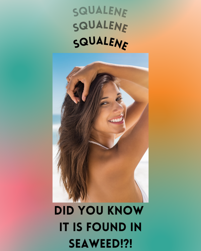Squalene: Unlocking the Power of Seaweed for Skin - Seaflora Skincare A graphic showing a beautiful woman and the text saying 'Squalene' 3 times and explaining that it is found in seaweed.