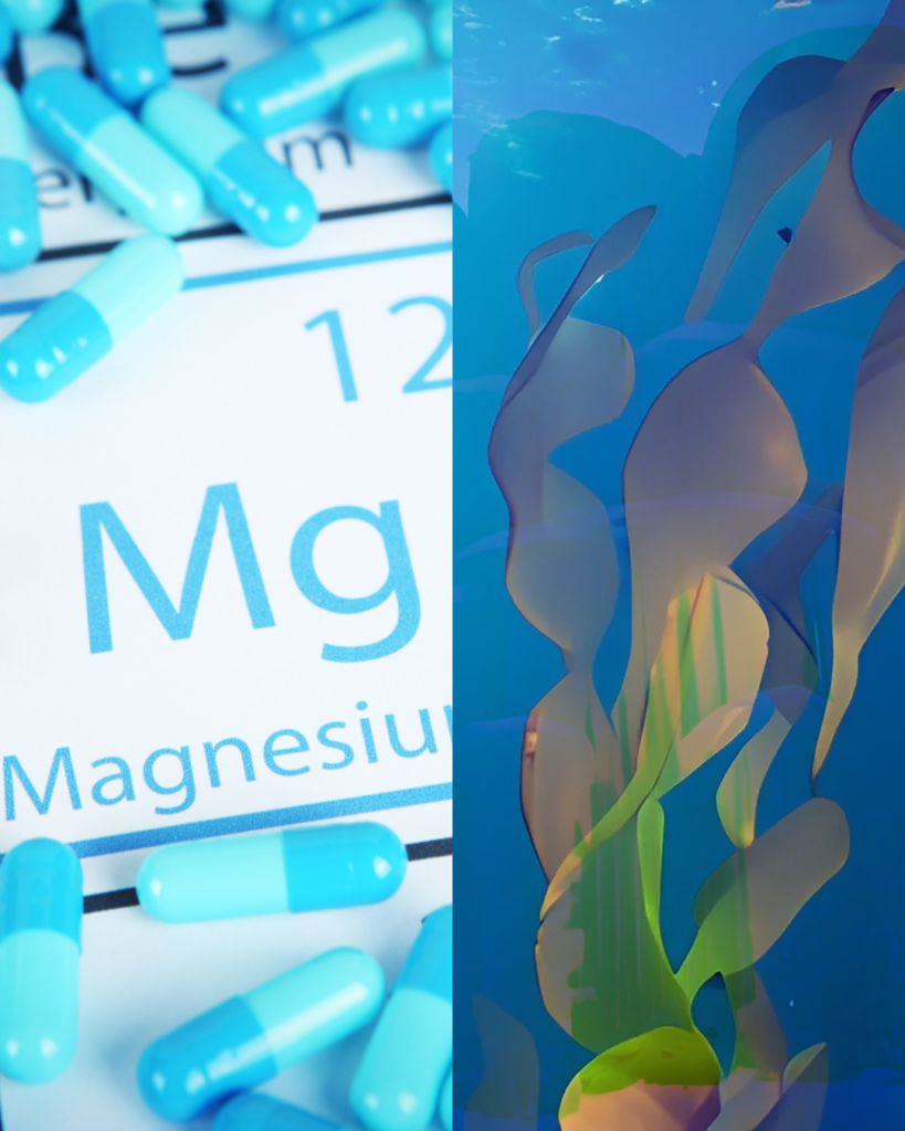 Magnesium Supplements vs Seaweed – Which Is Better? - Seaflora Skincare Magnesium supplements vs Seaweed
