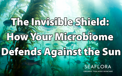Underwater kelp forest with sunlight filtering through the water and fish swimming among the seaweed, featuring the blog title ‘The Invisible Shield: How Your Microbiome Defends Against the Sun’ and the Seaflora Skincare logo in the bottom right corner.