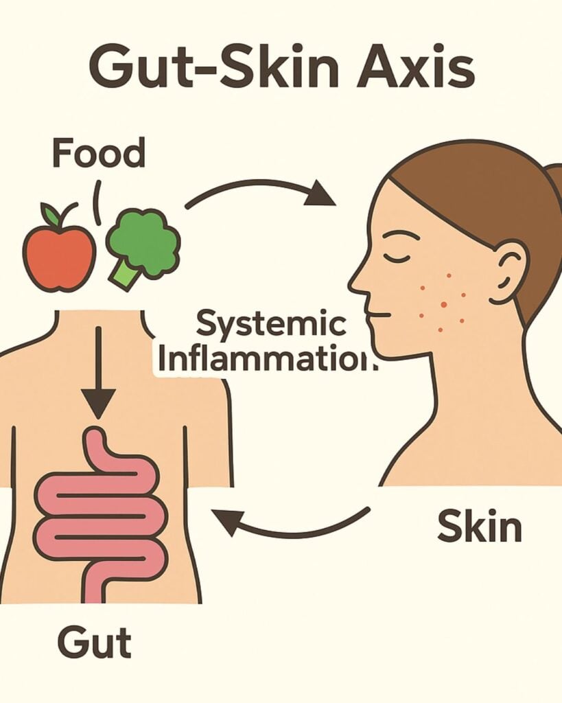 The Gut-Skin Axis: How Food, Digestion, and Inflammation Impact Your Skin - Seaflora Skincare How your microbiome works