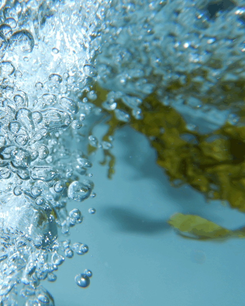 Underwater seaweed that Seaflora use in their skincare products.
