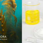 A split-screen image. On the left, vibrant kelp sways gently in a clear, beautiful blue ocean. On the right, scientific lab equipment is neatly arranged: a beaker of yellow liquid, a petri dish with white powder, a clear pipette, and thin glass beakers in a plastic holder. A white logo is in the bottom left corner.