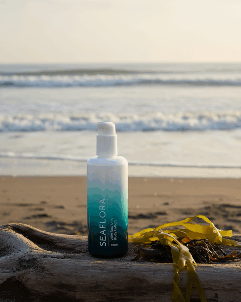 blog photos - Seaflora Skincare Seaflora's Wild Sea Kelp Body Lotion, the glass bottles depict the Ocean.
