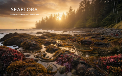 West Coast Autumn Skincare Ritual with Seaflora - Seaflora Skincare A dramatic autumn coastal scene on the West Coast of Vancouver Island. The foreground features a wet, mossy rock and a scattering of vibrant autumn maple leaves. Dulse, Rockweed, and Bull Kelp are visible at the low-tide waterline. The overall atmosphere is misty with a golden sunset glow. The white Seaflora logo is placed in the top-left corner, signifying the brand's connection to this rugged marine environment.