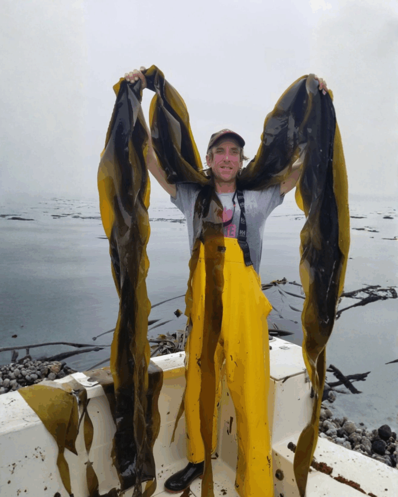 Seaflora-CEO-Adam-Hand-Harvesting-Kelp-Seaweed-Vancouver-Island - Seaflora Skincare Adam our Sea-E-O locally and sustainably hand harvesting Seaweed.