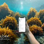 Hand holding phone showing Yuka app 100/100 excellent score for clean beauty against background of Pacific Ocean and wild seaweed.