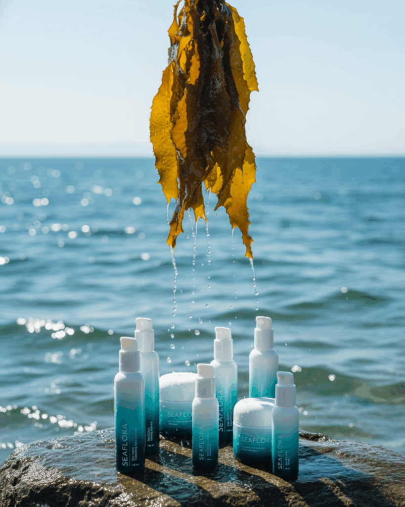 Seaflora: The Natural Source for All Trending Skincare Ingredients - Seaflora Skincare Seaweed dripping water over seaflora products sat on a rock with the ocean in the background.